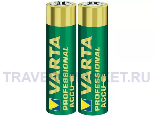 Аккумулятор AA 2700 mAh 1,2В  Varta  Professional BL-2