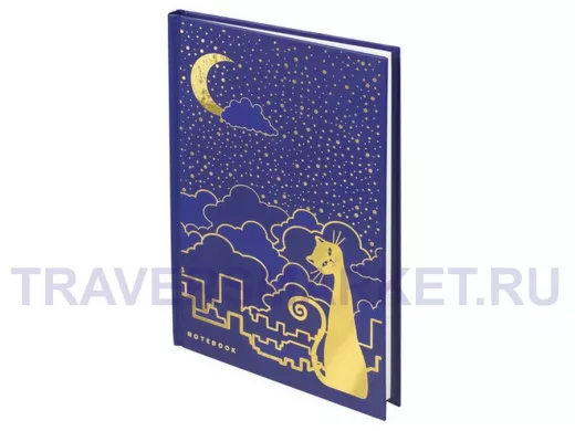 Блокнот 7БЦ А5 80л., фольга, кл. 