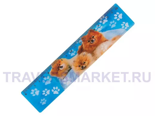 Линейка 3D 20 см "BR-75782", ОБЪЕМНАЯ, Домашние любимцы, европодвес